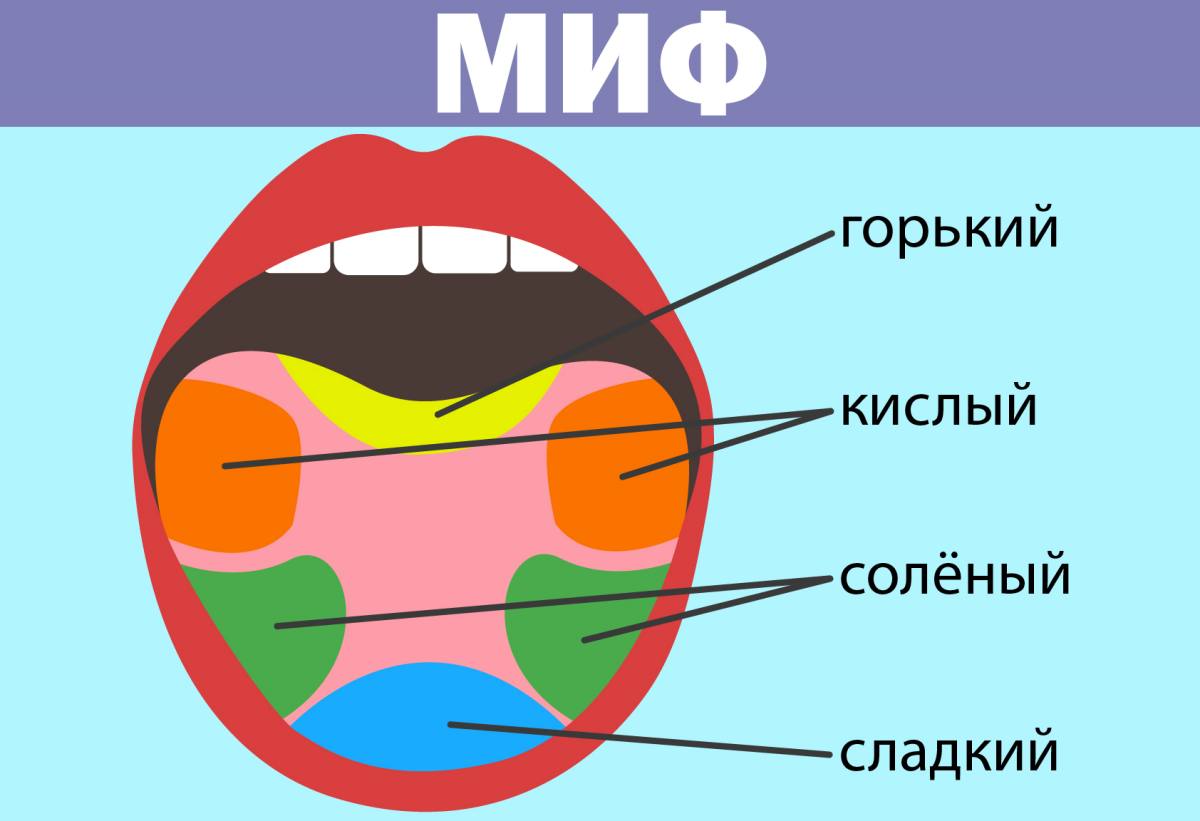 Карта языка